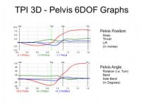 6dof-pelvis-graphs[2].jpg