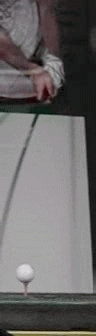 gearef10.gif