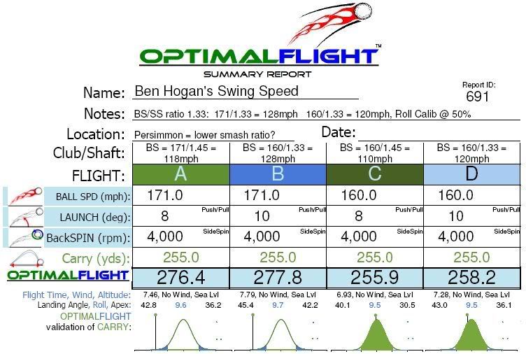 OptimalFlight_Hogan_1.jpg