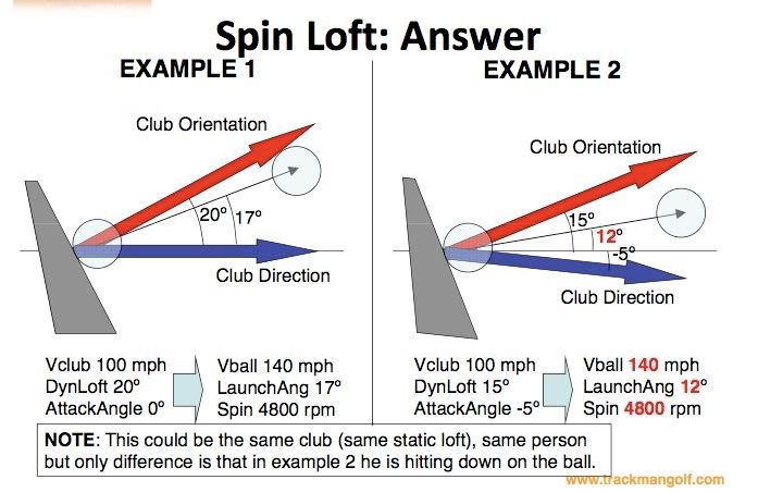 spinloft.jpg